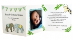 Jungle Baby Cards